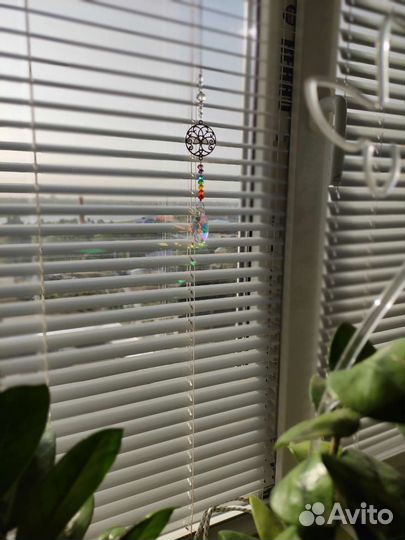 Ловец солнца