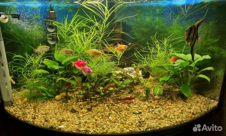 Аквариум 180 л с тумбой, Акваэль