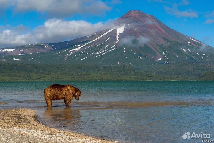 Вертолётный тур на Курильское озеро