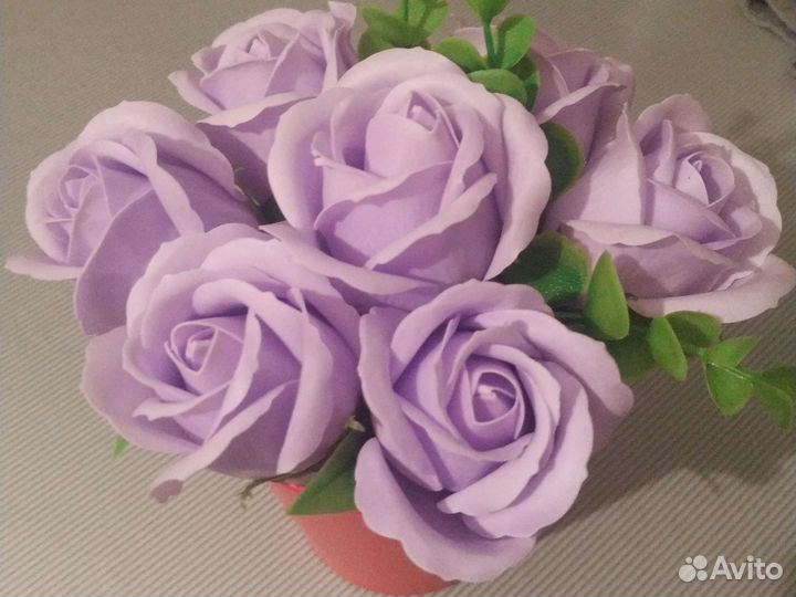 Сиреневые розы