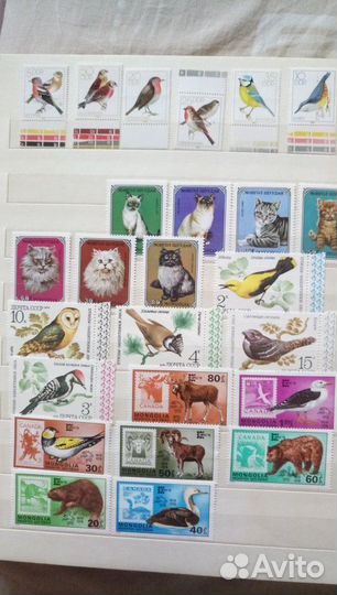 Марки СССР Фауна Спорт 1974-1980г