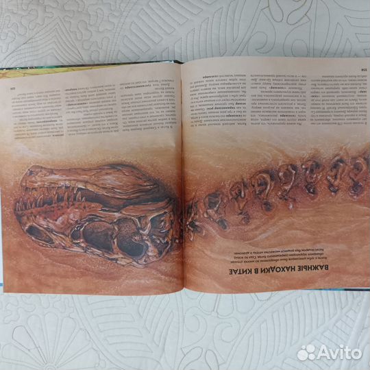 Энциклопедия Мир динозавров