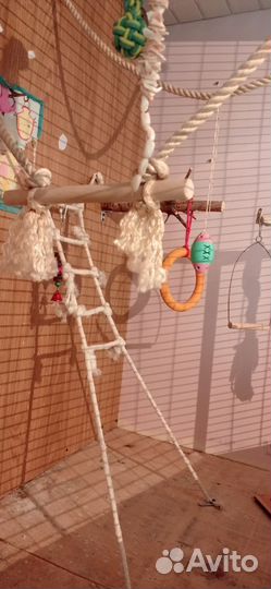 Присадки качели лесенка присадка игрушки в вольер