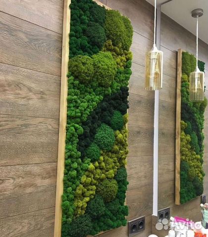 Мох стабилизированный ягель кочка фитокартина фито