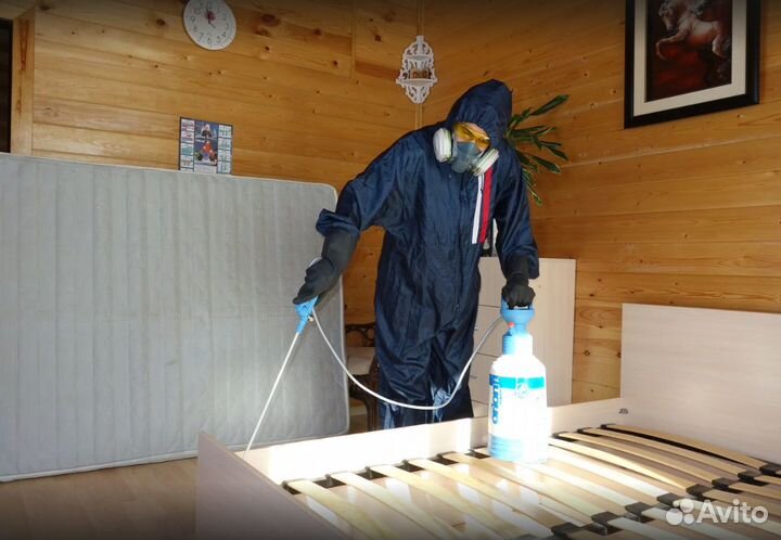 Уничтожение тараканов, клопов тараканов плесени