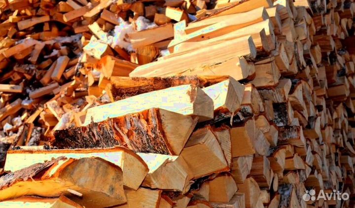 Дрова с Приморска