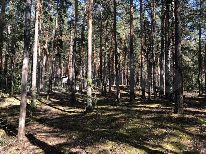 Участок 1,65 га (ИЖС)