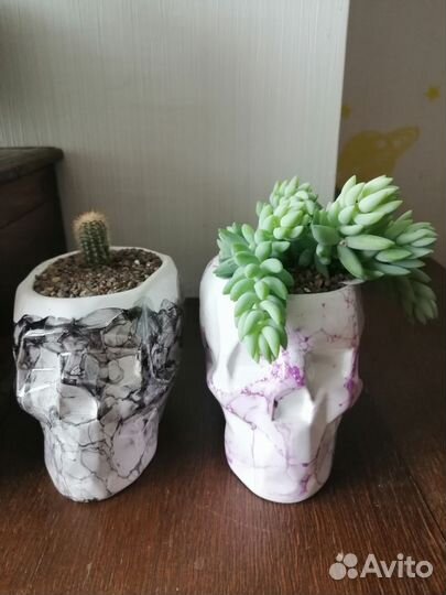 Цветочная композиция с суккулентами в 2х кашпо