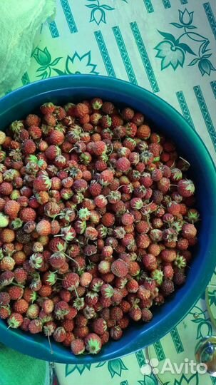 Земляника свежая