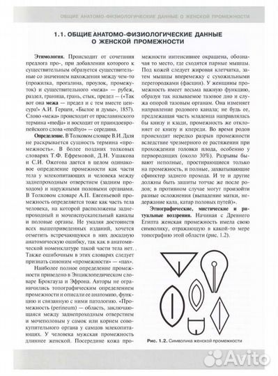 Клиническая анатомия женской промежности