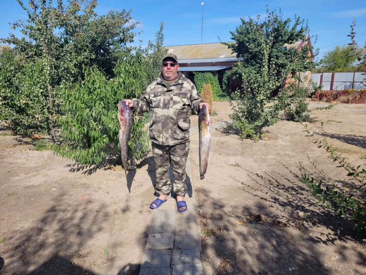 Дом 120 м² на участке 16 сот.