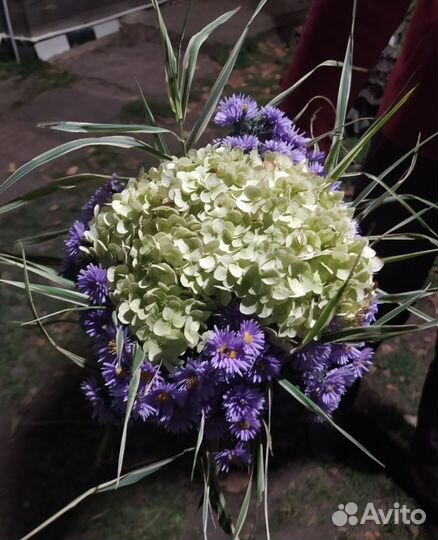 Букеты ко дню учителя