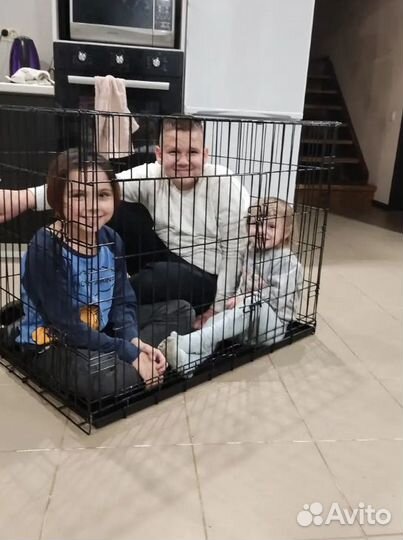 Клетка для собак №5 размер 100х70х76см