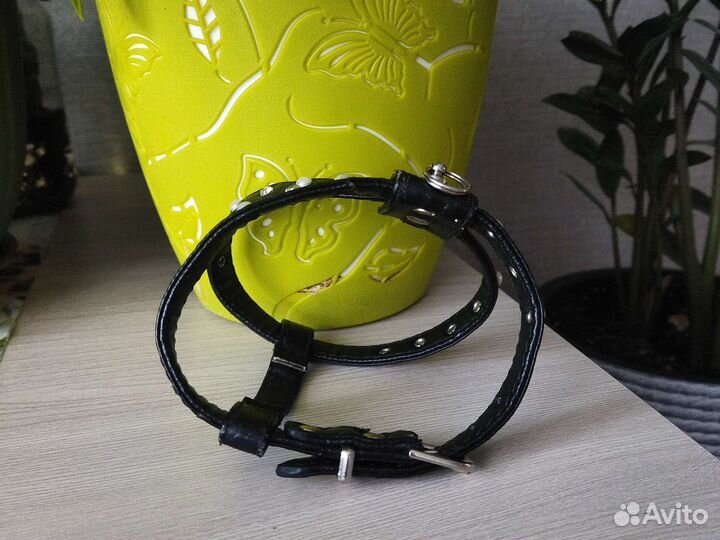 Шлейка для маленькой собаки