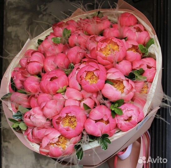 Пионы большой букет 51шт