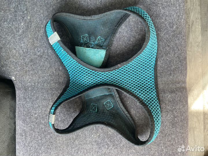 Шлейка для маленькой собаки