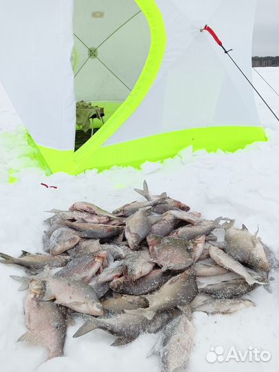 Продам палатку Медведь Куб-3 в комплекте с полом