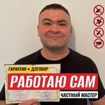 Уничтожение тараканов, клопов. Дезинфекция