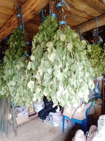 Веники для бани береза