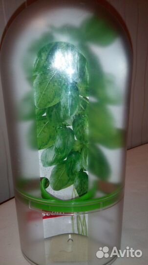 Контейнер для зелени (Чехия)