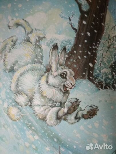 Сказки дремучего леса