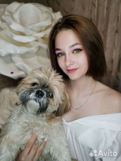 Ши-тцу вязка