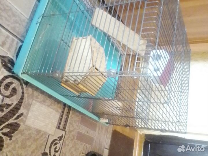 Клетка для грызунов бу