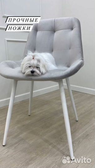 Стулья дизайнерские оптом напрямую с производства