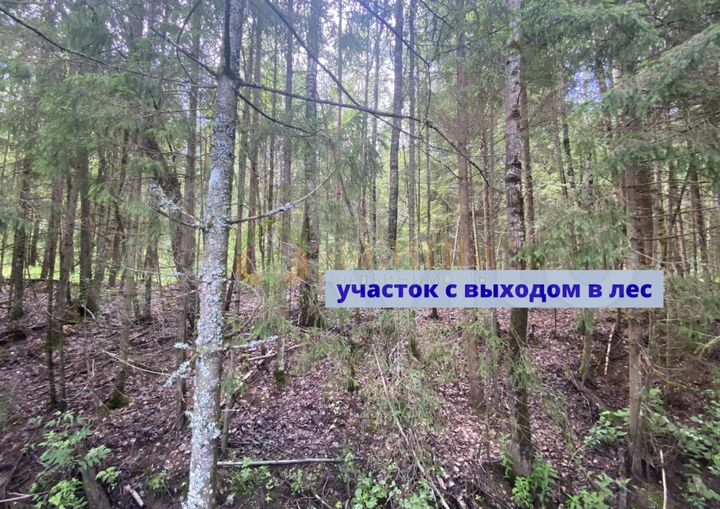 Участок 21 сот. (СНТ, ДНП)