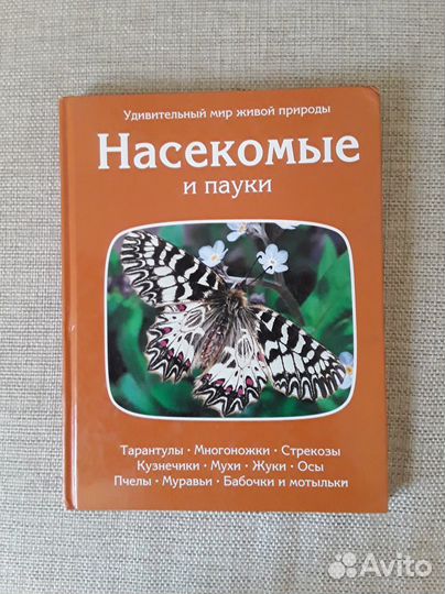 Детская энциклопедия. Насекомые и пауки