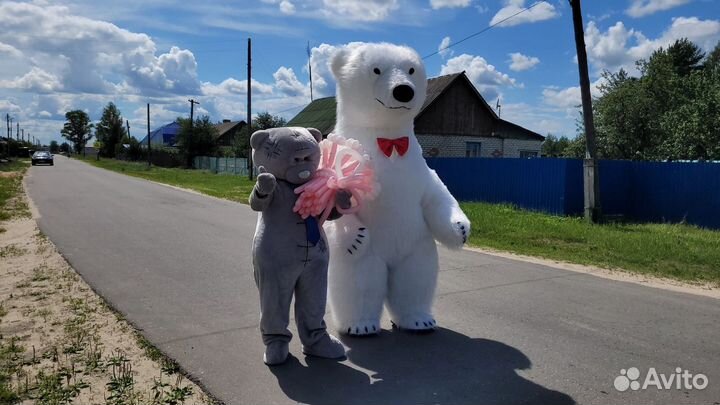 Белый мишка поздравление ростовой медведь аниматор