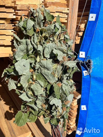 Липовый веник