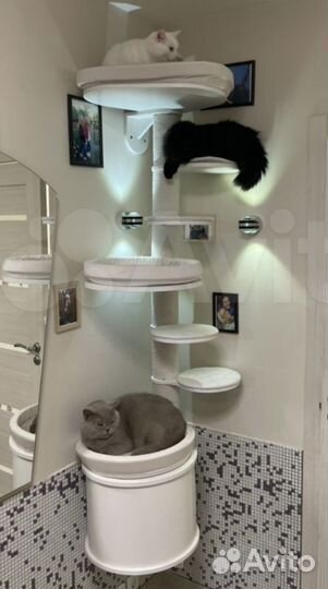 Настенная когтеточка домик для кошки