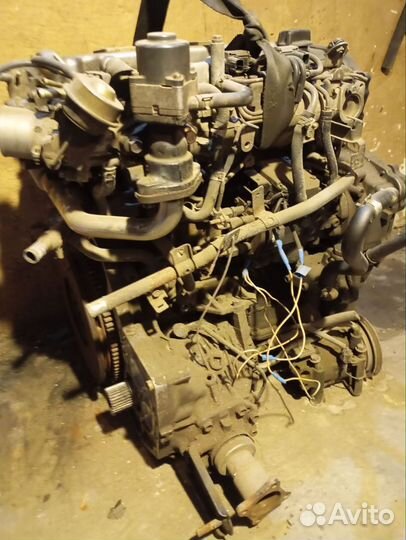 Двигатель yd22ddti