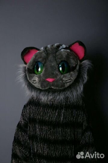 Чешир костюм