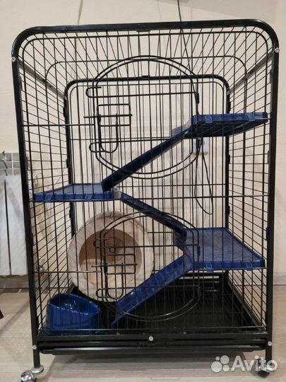 Клетка для шиншиллы