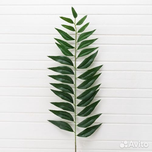 Искусственные растения