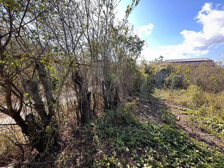 Участок 15 сот. (ИЖС)