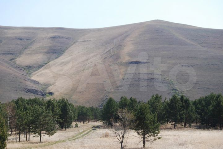 Участок 15 сот. (СНТ, ДНП)