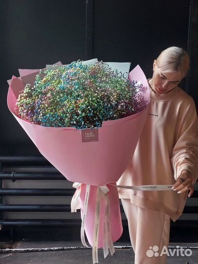 Гипсофила оптом