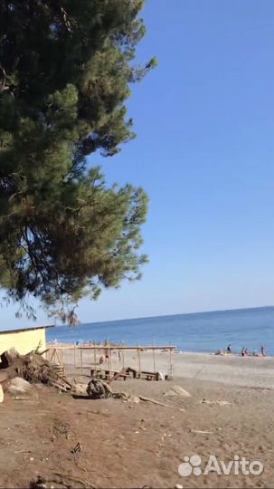 Индивидуальные экскурсии в Абхазию или по Сочи