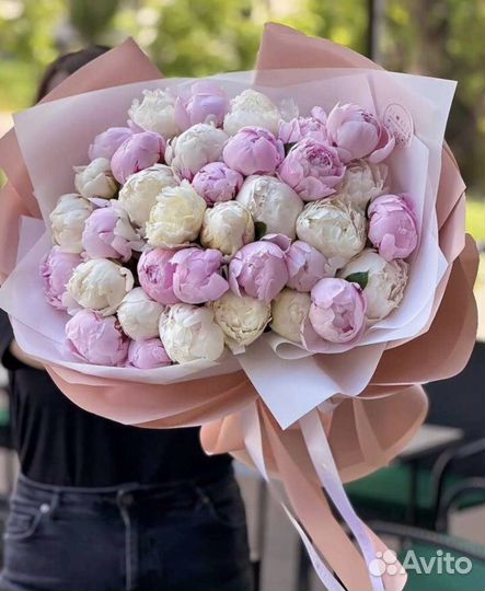 Пионы оптом