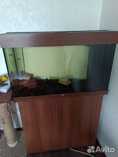 Аквариум jewel 125