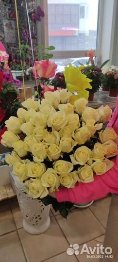 Цветы Розы Свежие от 60 до 70 см. Доставка