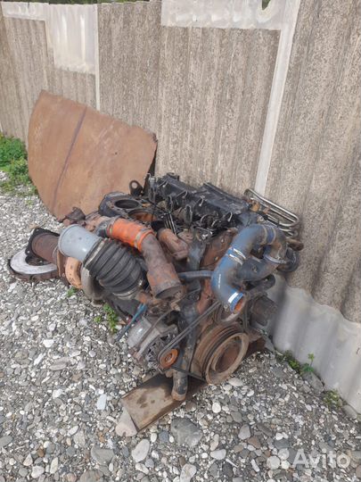 Мотор man камандор