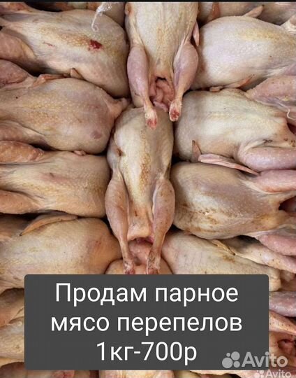 Куры цыплята