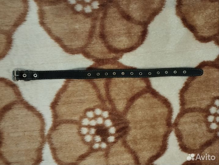 Ошейник для собак