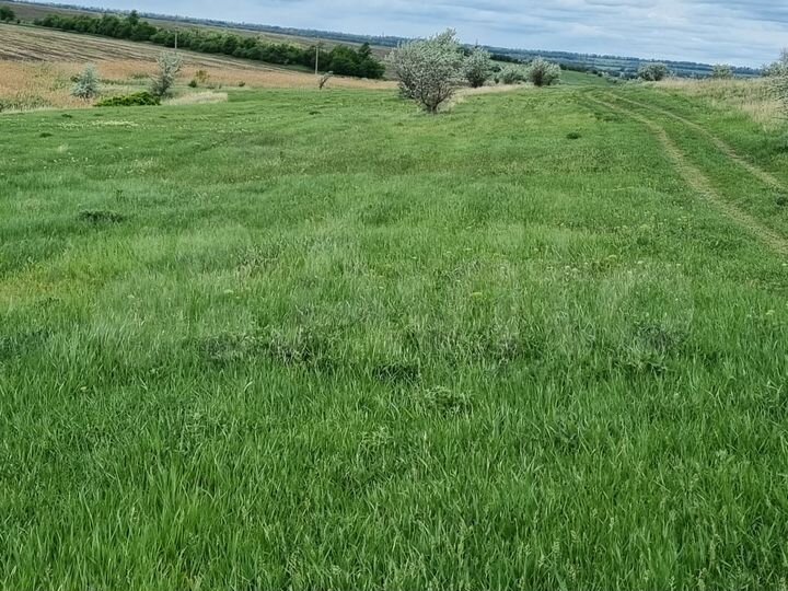 Участок 303 га (СНТ, ДНП)