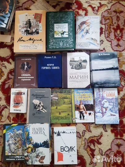 Охота и охотничье хозяйство,охотничьи просторы