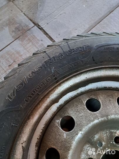 Sava Eskimo Stud 175/65 R14